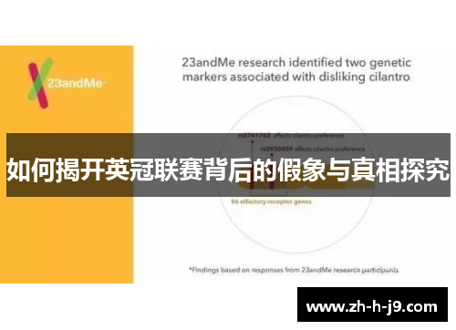 如何揭开英冠联赛背后的假象与真相探究